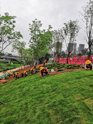 國(guó)藝園林大沙河生態(tài)長(zhǎng)廊景觀項(xiàng)目綠化工程II標(biāo) 假山的藝術(shù)與生態(tài)融合