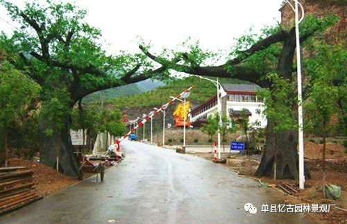 阜陽生態(tài)園大門制作價(jià)格解析 假山藝術(shù)與成本考量