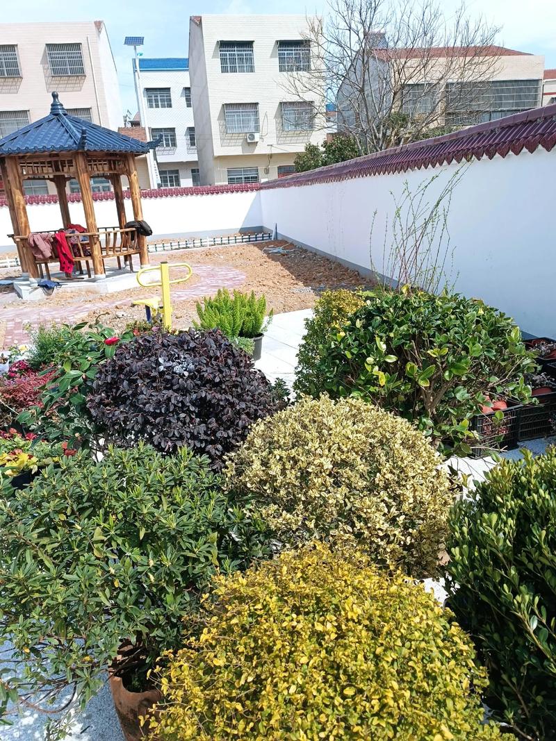 單位綠化施工現(xiàn)場紀(jì)實(shí) 園林景觀中的假山營造藝術(shù)